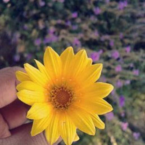 Meet your Posher, Lesly